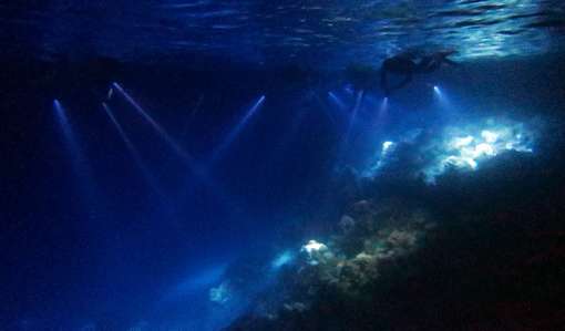 SORTIE LAGON DE NUIT – MER 28/02 A 19h