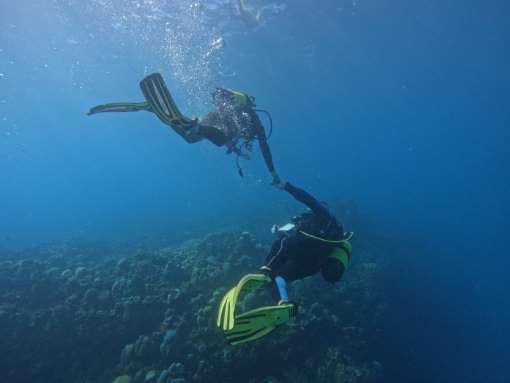 BAPTÊME DE PLONGEE LYCEEN, MER 21/05 DE 8H A 13H